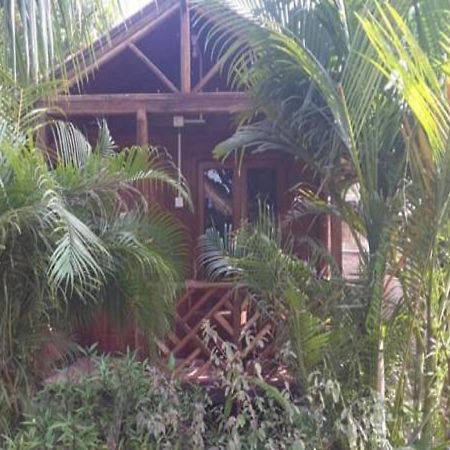Sea Bird Beach Cafe & Cottages Morjim Exterior foto